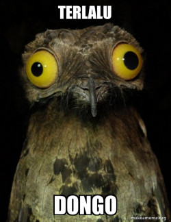 Weird Stuff I do Potoo