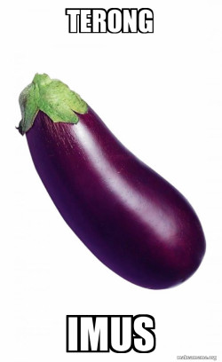 Eggplant