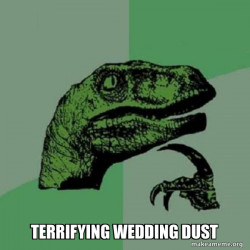 Philosoraptor