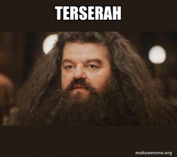 Hagrid - I should not have said that