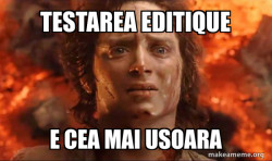 Frodo it's over it's done