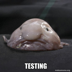 Blobfish