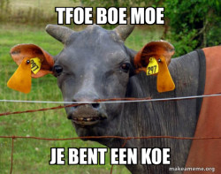 Hairless Cow
