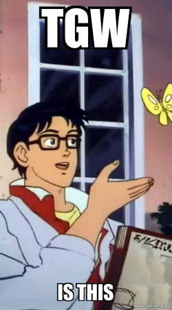 is this a 