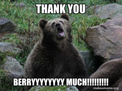Sarcastic Bear