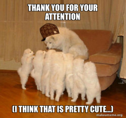 Scumbag Storytelling Dog