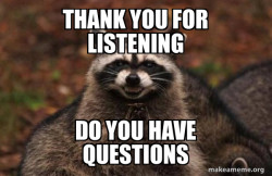 Evil Plotting Raccoon