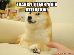 Doge
