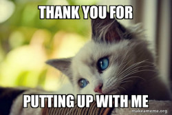 First World Cat Problems