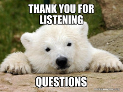 Popular Opinion Bear