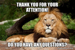 Contemplative Lion