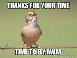 Common Opinion Sparrow