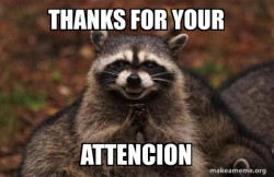 Evil Plotting Raccoon
