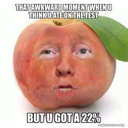 Impeached Donald Trump