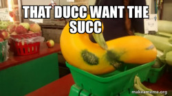 Gourd Advice Mallard