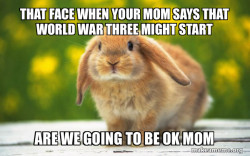 Regretful Rabbit