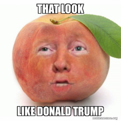 Impeached Donald Trump