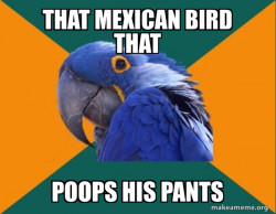 Paranoid Parrot