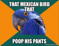 Paranoid Parrot