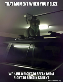 Drop Bear