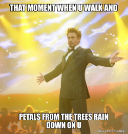 Tony Stark Success