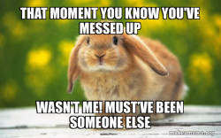 Regretful Rabbit