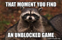Evil Plotting Raccoon