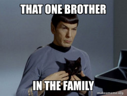 Spock and Cat Meme