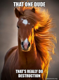 Ridiculously photogenic horse