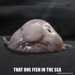 Blobfish
