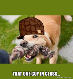 Scumbag dog