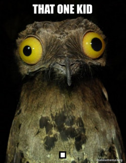 Weird Stuff I do Potoo
