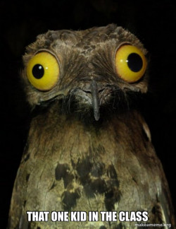 Weird Stuff I do Potoo