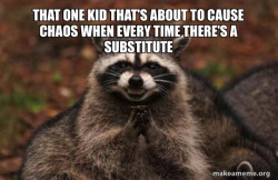 Evil Plotting Raccoon