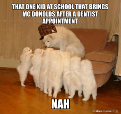 Scumbag Storytelling Dog