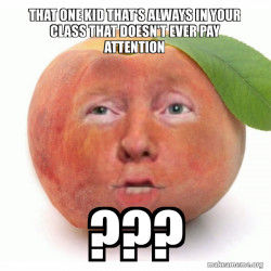 Impeached Donald Trump