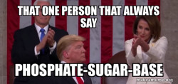 Nancy Pelosi Clapping