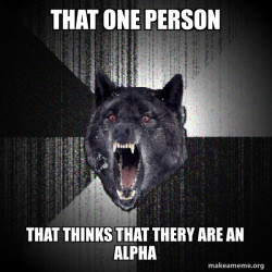 Insanity Wolf