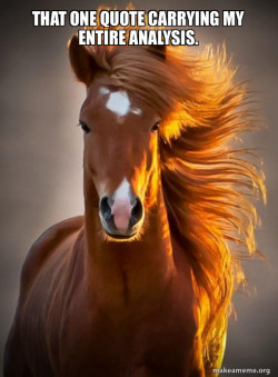 Ridiculously photogenic horse
