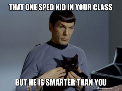 Spock and Cat Meme