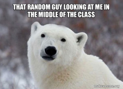Popular Opinion Polar Bear