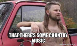 Almost Politically Correct Redneck