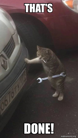 Mechanic Cat