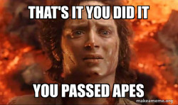 Frodo it's over it's done