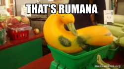 Gourd Advice Mallard