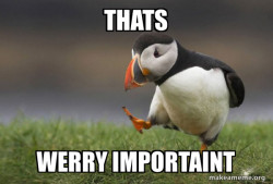 Unpopular Opinion Puffin