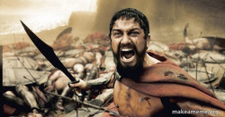 The 300