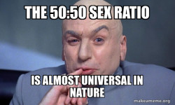 Sex ratio 