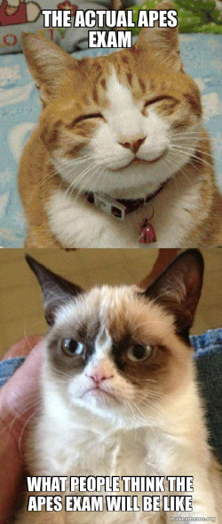 Grumpy Cat vs Happy Cat