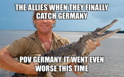 Steve irwin